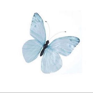 Meet your Posher, Asia